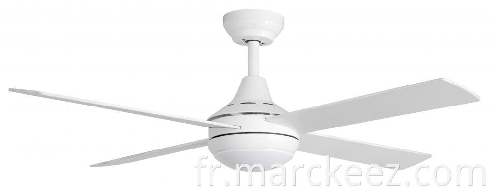 decorative ceiling fan 